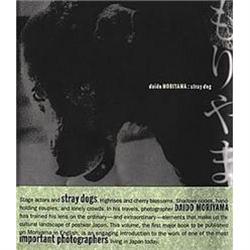 Daido Moriyama: Stray Dog #978310