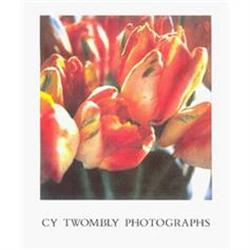 Cy TWOMBLY: Photographs #978432