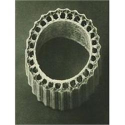 Karl Blossfeldt: Wundergarten der Natur, Plate #978444