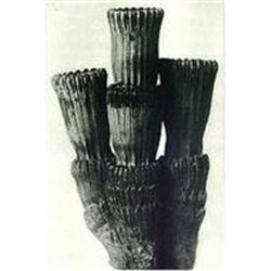 Karl Blossfeldt: Urformen Der Kunst, Plate 5 #978446