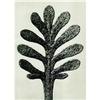 Image 1 : Karl Blossfeldt: Urformen Der Kunst, Plate 37 #978447