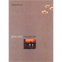 Fulvio Ferrari MOLLINO POLAROID 1999 #978473