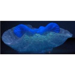 Italian Overshot Ashtray Blue Leaf #993649