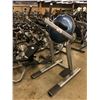 Image 1 : LIFE FITNESS LEG RAISE STATION