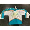 Image 1 : LOT OF JERSEYS - NEW YORK AMERICANS (NHL HERITAGE), HARFORD WHALERS (SANDOW), ANAHEIM DUCKS