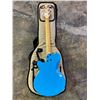 Image 2 : GODIN RADIATOR COOL SOUND 99333799  ELECTRIC GUITAR WITH 1 LOOSE KNOB AND SOFT CASE
