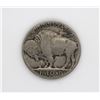 Image 2 : 1919 S BUFFALO NICKEL VG+