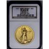 Image 3 : 	1907 $20 High Relief, Flat Rim MS62 NGC. The striking 1907
