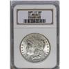 	1881-CC S$1 MS65 NGC. Thick mint frost covers each sid 1881-CC