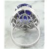 Image 3 : 22.22 CTW Tanzanite 14K White Gold Diamond Ring