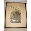 Image 1 : FRAMED AUDUBON MEADOW LARK PRINT