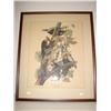 Image 1 : FRAMED AUDUBON PILEATED WOODPECKER PRIN