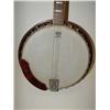 Image 2 : REMO BANJO
