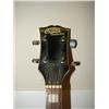 Image 3 : REMO BANJO