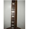 Image 4 : REMO BANJO