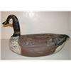 Image 2 : EASTERN SHORE, VIRGINIA GOOSE DECOY
