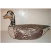 Image 3 : EASTERN SHORE, VIRGINIA GOOSE DECOY