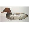 Image 2 : UPPER BAY, MARYLAND CANVASBACK DECOY