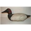 Image 1 : UPPER BAY, MARYLAND CANVASBACK DECOY
