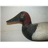 Image 2 : UPPER BAY, MARYLAND CANVASBACK DECOY