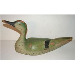 PINTAIL DECOY