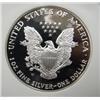 Image 3 : 2001-W AMERICAN EAGLE SILVER DOLLAR