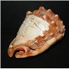 Image 2 : SWIRL GLASS CONCH SHELL