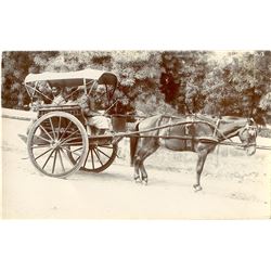 Antique / Vintage Rare Postcard India Transportation
