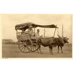 Antique / Vintage Rare Postcard India Transportation