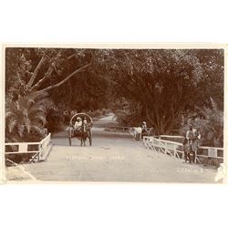Antique / Vintage Rare Postcard India Transportation