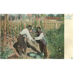 Antique / Vintage Postcard African Black American