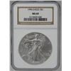 Image 1 : 1996 AMERICAN SILVER EAGLE