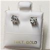 Image 1 : 14K DIAMOND (0.62CT) EARRINGS