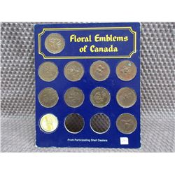 Floral Emblems of Canada