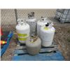 Image 1 : 5 Propane Bottles