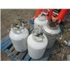 Image 2 : 5 Propane Bottles