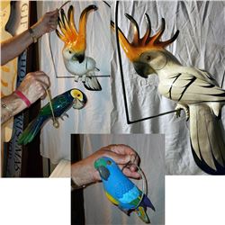 Four Decorative Parots