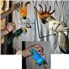 Image 1 : Four Decorative Parots