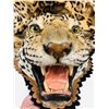 Image 1 : Vintage Leopard Rug