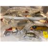 Image 3 : Fishing Lures