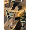 Image 2 : Bass Taxidermy Mounts