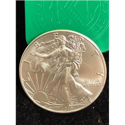Uncirculated 2019 Silver American Eagle Coin - St. Jude Children's Research Hospital