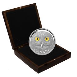 RCM Issue: 2014 $250 In The Eyes Of The Snowy Owl Kilo Fine Silver Coin (capsule is scratched & stic