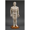 Image 1 : Male ACUPUNCTURE Body Model