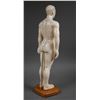 Image 3 : Male ACUPUNCTURE Body Model