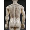 Image 5 : Male ACUPUNCTURE Body Model