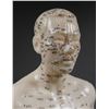 Image 6 : Male ACUPUNCTURE Body Model