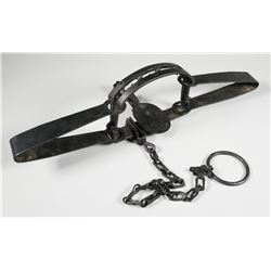 TRIUMPH TRAP Co High Grip 415X Bear Trap