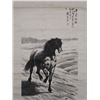 Image 1 : CHINESE SCROLL PAINTING, Horse
