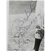 Image 3 : JOE DIMAGGIO Signed Photo JSA LOA